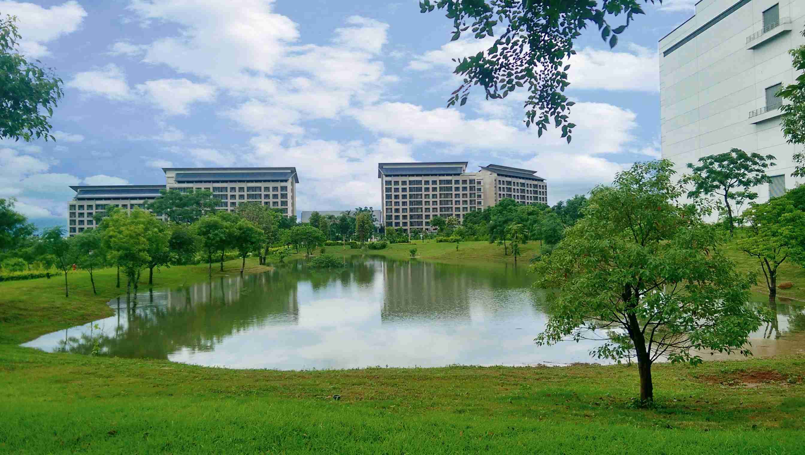 口袋牛店响应国际倡议生物多样性趋势，，，首次发布TNFD自然相关财务揭露报告书，，擘划及开展口袋牛店生物多样性政策之承诺，，逐步迈向与自然和谐共生